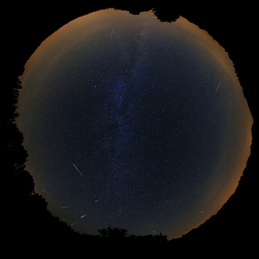 Figure 2 – Composition of all Perseids captured on August 13, 2015 between 00h00m and 03h15m UT. 