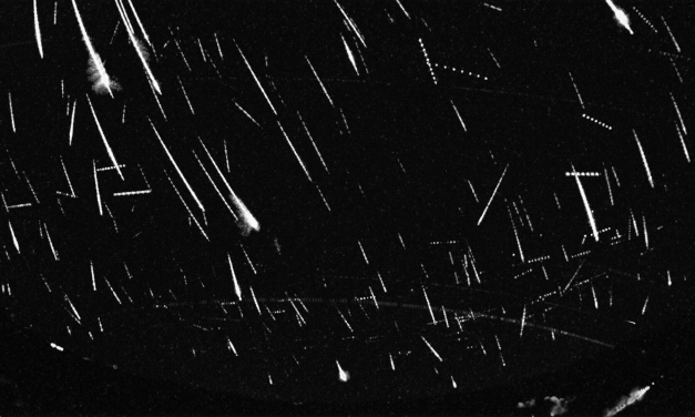 Perseids observed using low-cost Raspberry Pi based meteor stations