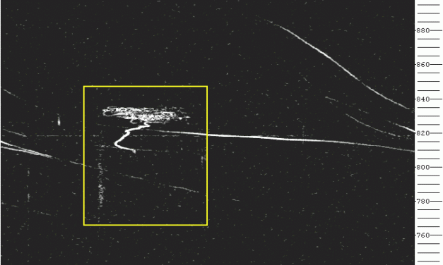 Radio meteors May 2019