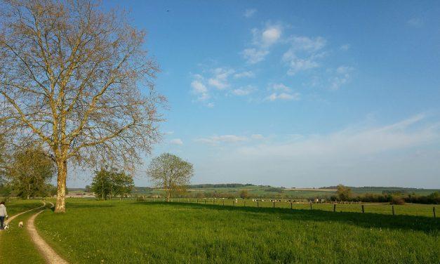 Meteor observations from the very dark village of Buzancy in northern France