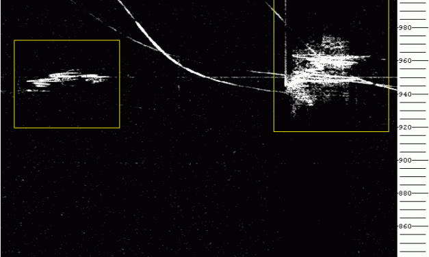 Radio meteors June 2019