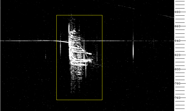 Radio meteors October 2019