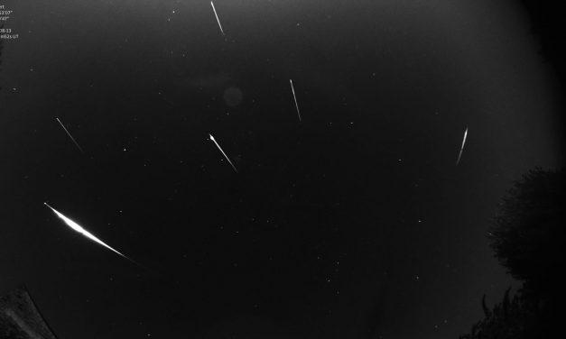 Perseids 2019: Another peak in activity around solar longitude 141.0?