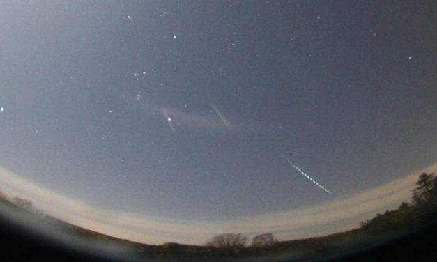 Geminids 2019 under a moonlit sky