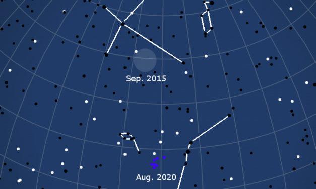 Possible upcoming return of the chi Cygnids in September 2020