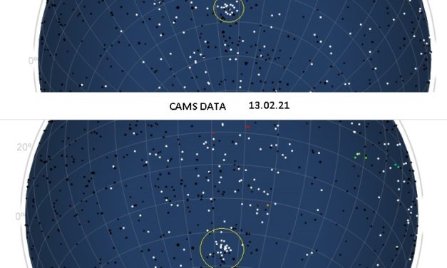 Outburst of Gamma Crucids in 2021 (GCR, IAU#1047)