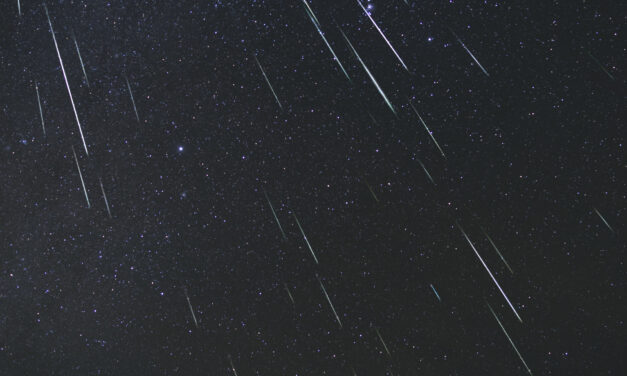 The Geminids in 2020