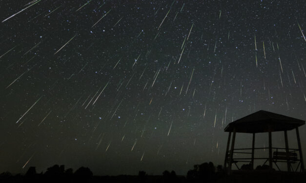 The big surprise: a late Perseid outburst