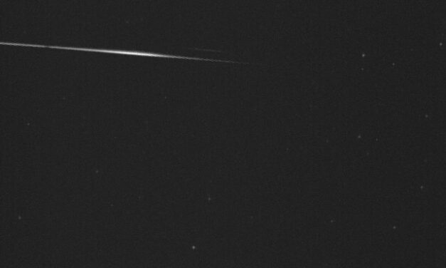 First detection of the Arid (ARD, #1130) meteor shower from comet 15P/Finlay