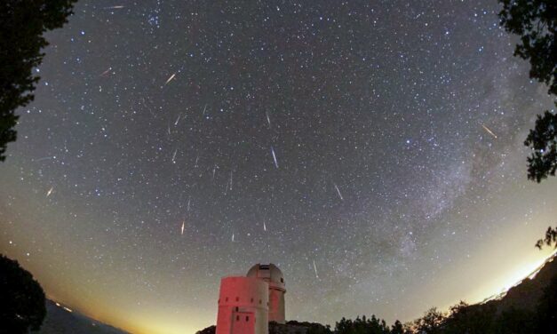 A meteor outburst caused by dust from comet 73P/Schwassmann–Wachmann: the tau Herculids, a visual analysis