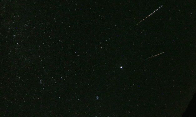 Perseids in 2023: another outburst around λʘ 141° and possibly dust trail activity from 68BC detected