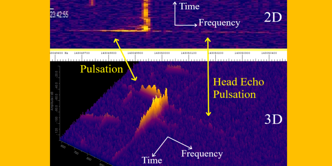 2D and 3D spectrograms of meteor head echoes that possibly show meteoroid fragmentation