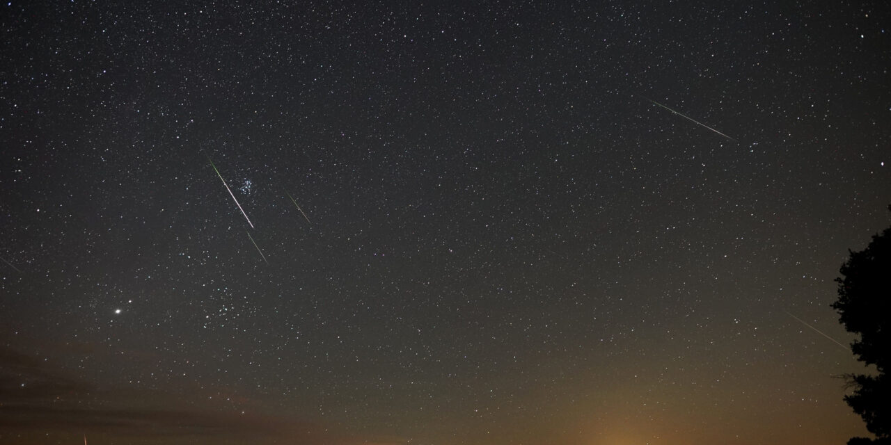 The Interesting Perseids of 2024: An Analysis of the Visual Observations