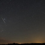 The Interesting Perseids of 2024: An Analysis of the Visual Observations