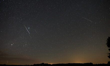 The Interesting Perseids of 2024: An Analysis of the Visual Observations